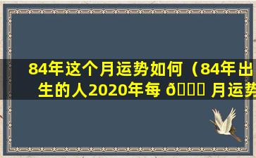 84年这个月运势如何（84年出生的人2020年每 🐕 月运势）